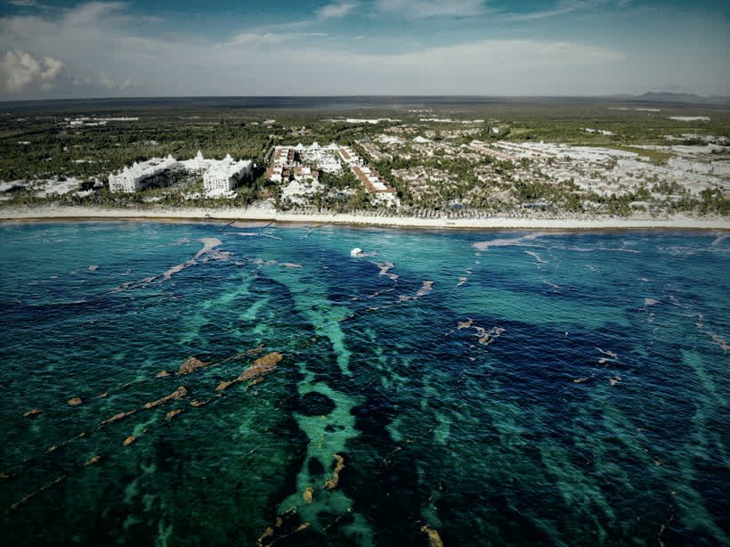 Vista aérea de uma orla com mar claro e faixa de areia